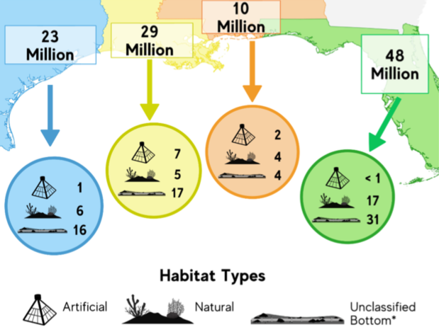 Map showing a breakdown of the regional estimate of Great Red Snappers by habitat type. From left to right (Texas, Louisiana, Mississippi/Alabama, and Florida)on the map: 23 million (1 artificial, 6 natural, 16 unclassified bottom), 29 million (7 artificial, 5 natural, 17 unclassified bottom), 10 million (2 artificial, 4 natural, 4 unclassified bottom), and 48 million (less than 1 artificial, 17 natural, 31 unclassified bottom).